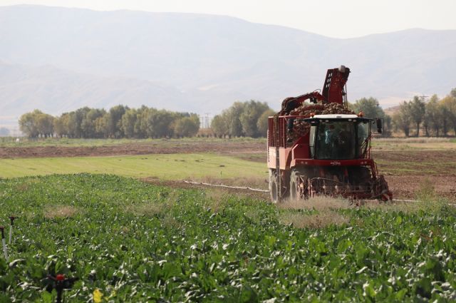 Cumhurbaşkanı Erdoğan 2026/2027 şeker kotalarını açıkladı