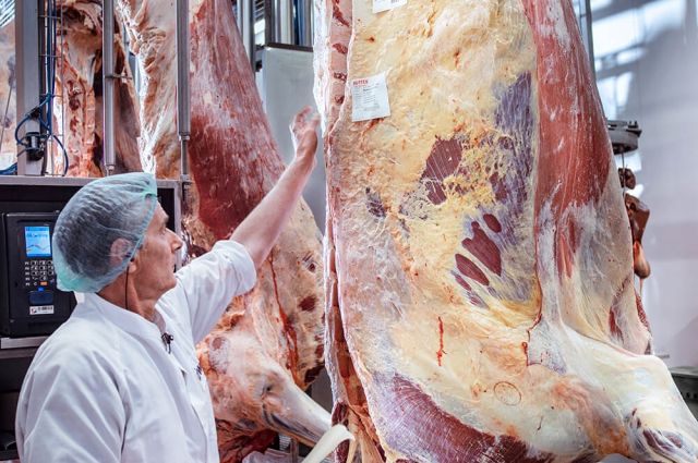 Dana Kesim Fiyatı Bir Haftada 50 TL Arttı