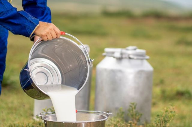 Ediz Ün: Şap Hastalığı Süt Üretimini Çökertti