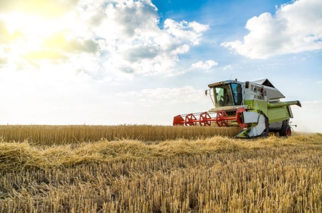 Güneydoğu Anadolu Hububat İhracatı Liderliğini 10 Ayda Sürdürdü