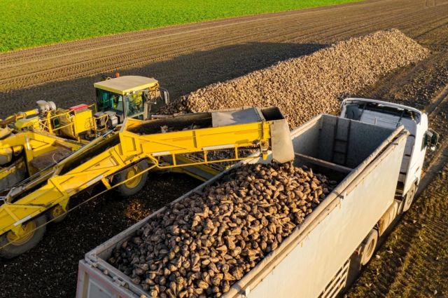 Kayseri Şeker’den pancar çiftçisine 111 milyon TL destek