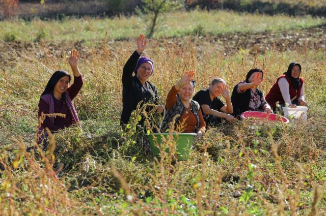 Samsun Büyükşehir Belediyesi 2025’te üreticiye kapsamlı tarımsal destek sağladı