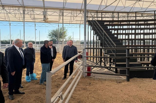 Sivas Belediye Başkanı Uzun Adana’da hayvan mezatı örneğini inceledi