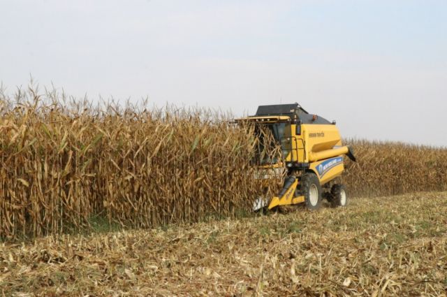 TMO’dan “arpa ve mısır ithalatı” kararına ilişkin açıklama: Yeni bir ithalat kararı yok