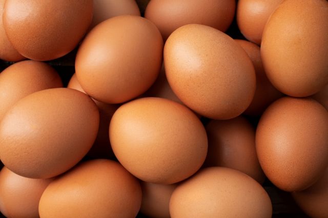 TÜİK: Eylül 2025’te tavuk eti üretimi arttı, yumurta azaldı