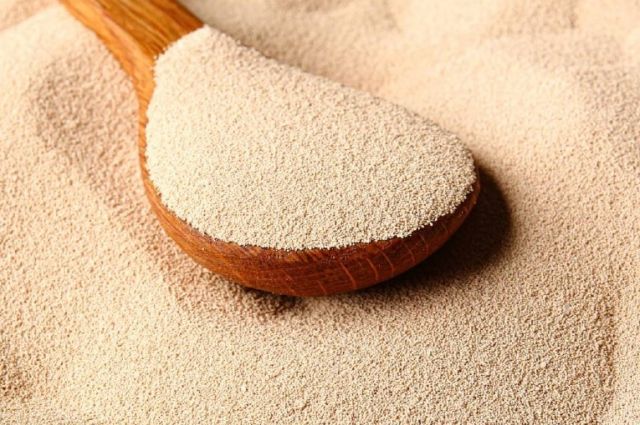 Agroexport: Rusya 2025’te Maya İhracatında Rekora Gidiyor