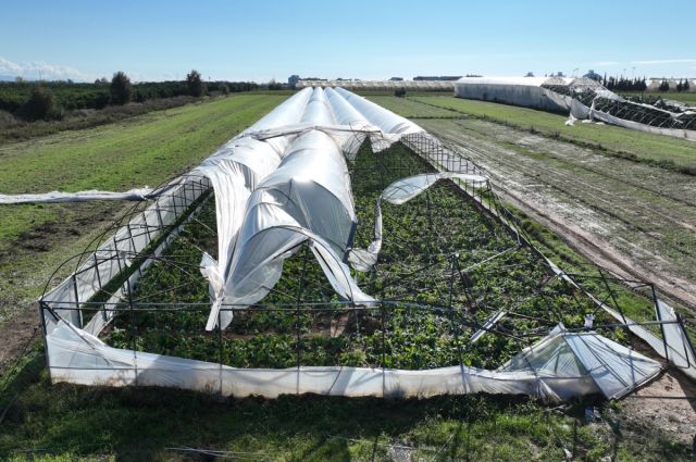 Antalya Büyükşehir, Manavgat’taki hortum sonrası seralarda hasarı inceledi