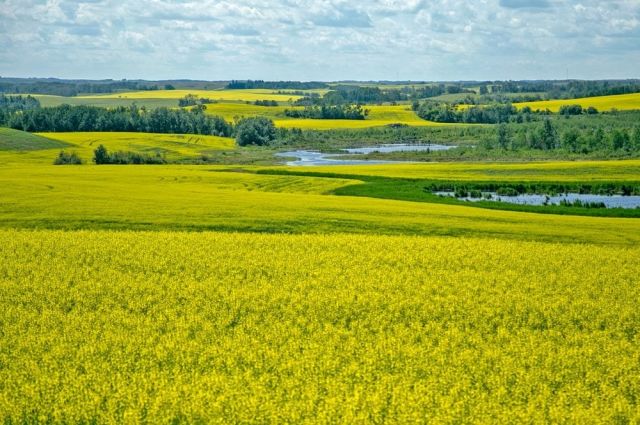 Bakan Yumaklı: 1,7 milyar lira tarımsal destek bugün ödenecek