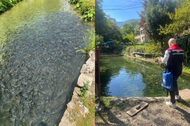 Bolu İl Tarım ve Orman Müdürlüğü Mudurnu’da su ürünlerini denetledi