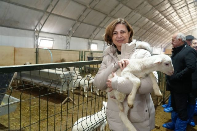 Eskişehir Büyükşehir arıcılık ve hayvancılık desteğini duyurdu