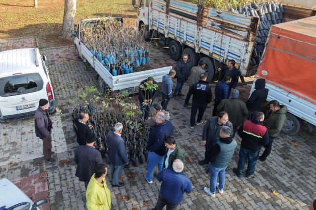 Kahramanmaraş Büyükşehir Belediyesi üreticilere fidan desteği sağladı
