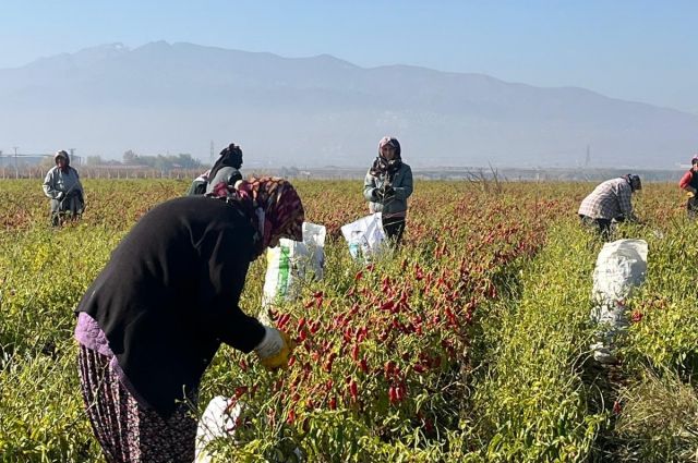 Kahramanmaraş Tarım Müdürlüğü “Toprak Yaşatır” Projesini Başlattı