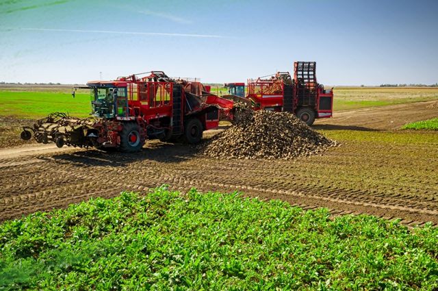 Kayseri Şeker 2025-2026 3. Söküm Avansını Çiftçiye Ödedi