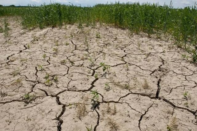 Rusya Gossovet’i çölleşmeyle mücadeleyi ulusal projeye almayı önerdi