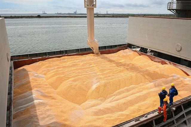 SovEcon: Rusya’nın aralık buğday ihracatı 3,9 milyon tona çıktı