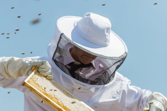 Tekirdağ Büyükşehir Belediyesi arıcılık malzeme desteği başlattı