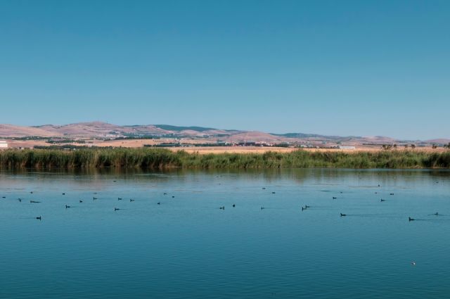 TEMA Vakfı: 2025’te çevre kazanımları ve tehditler arttı