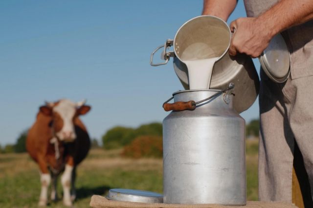 TÜSEDAD Kasım 2025 çiğ süt maliyetini 23,77 TL olarak açıkladı