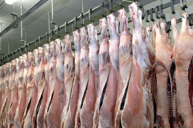 UKON: Dana kesim fiyatı yıllık bazda yüzde 53,4 arttı