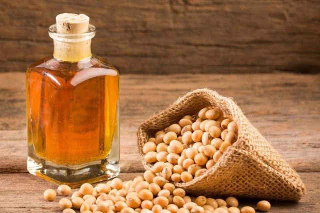 ABD Tarım Bakanlığı: Çin 2025/26’da Soya Yağı Net İhracatçısı