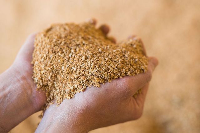 Almanya'nın soya ve kolza küspesi ihracatı düştü