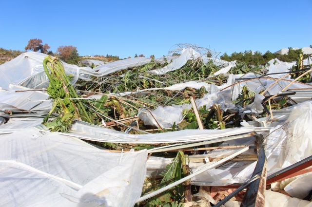 Antalya Büyükşehir Belediyesi Manavgat’ta hortum hasarını inceledi