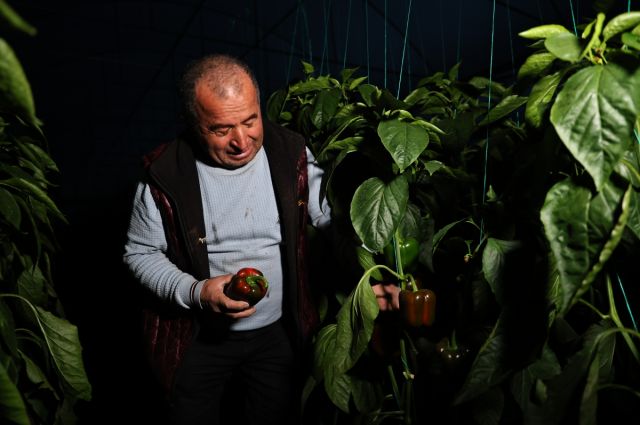 Antalya Büyükşehir’den seralara dijital sensör desteği