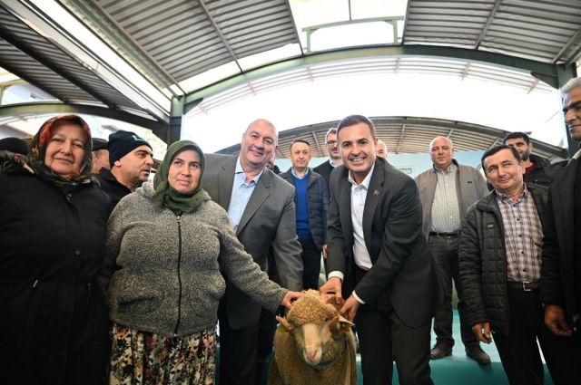 Balıkesir Büyükşehir, Bigadiç’te damızlık koç dağıtımı yaptı