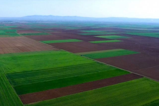 Danıştay, Alpu Ovası’nda termik santral projesini hukuka aykırı buldu