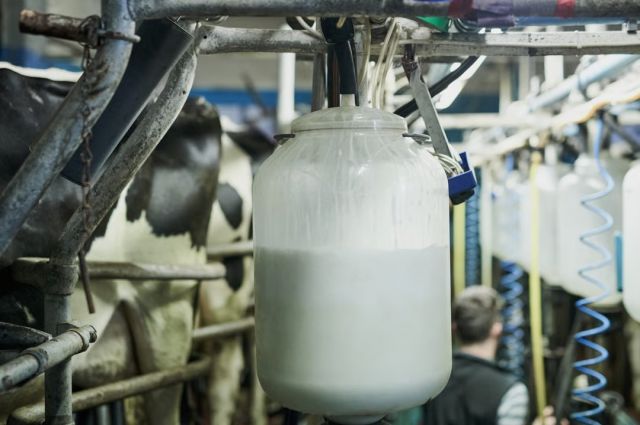 Ediz Ün: Ulusal Süt Konseyi’nin süt fiyatı maliyeti karşılamıyor