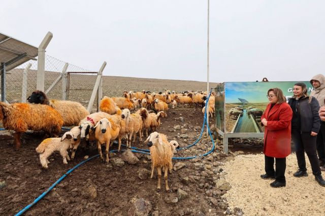 Gaziantep BŞB, Nurdağı’nda üreticilere sıvat ve gölgelik dağıttı