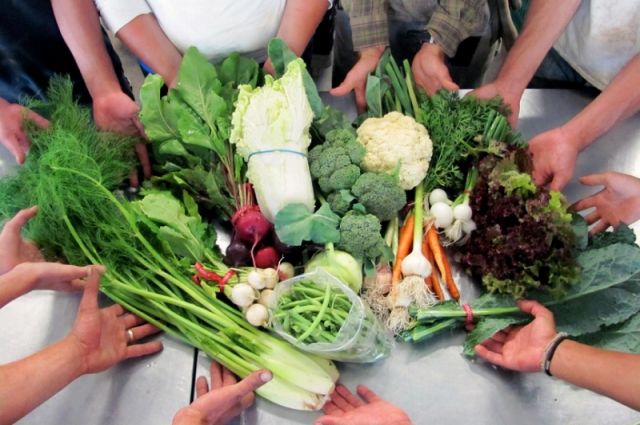 Gıda Toplulukları, Türetici Modeliyle Yaygınlaşıyor