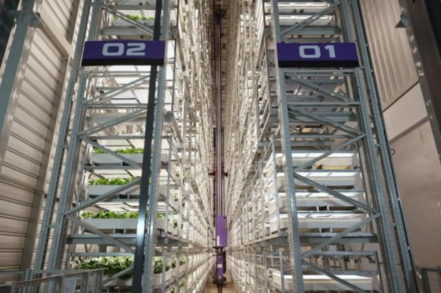 Greenphyto, Singapur’da 23 metrelik dikey tarım çiftliği açtı