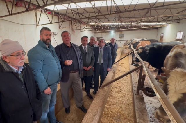 Ömer Fethi Gürer: Haymana’da hayvancılık sürdürülemez noktada