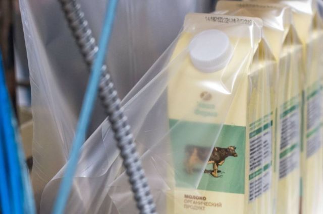 Patruşev: Rusya’da süt üretimi 30 yılın rekoruna ulaştı