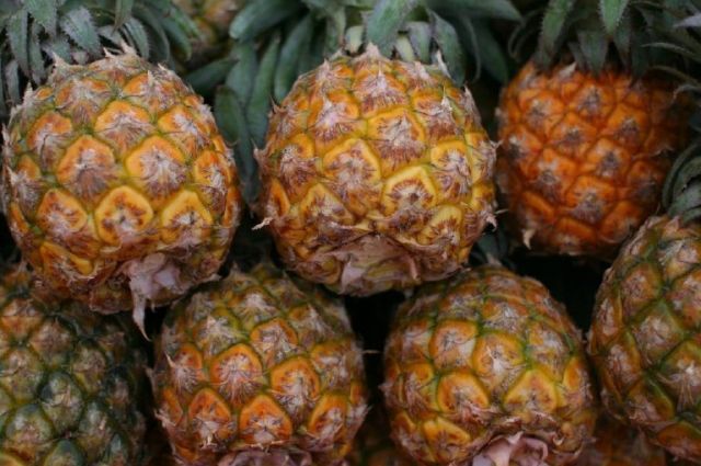 Rosselhoznadzor: İthal tarım ürünlerinde üç zararlı tespit edildi