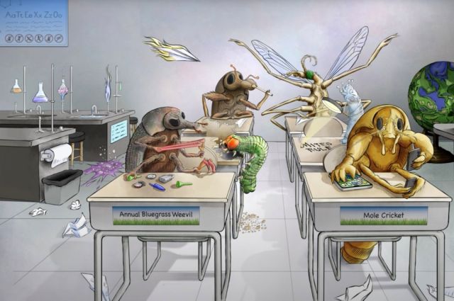 Syngenta, Atexzo adlı yeni insektisiti ABD’de tescilledi