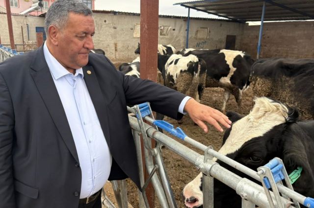 CHP’li Gürer, Niğde Yeşilgölcük’te süt üreticisini dinledi