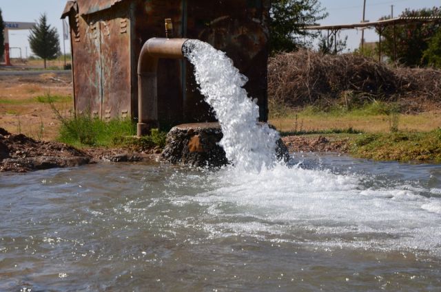 Dicle Elektrik: Şanlıurfa’da 2025’te elektriğin yarısı kaçak
