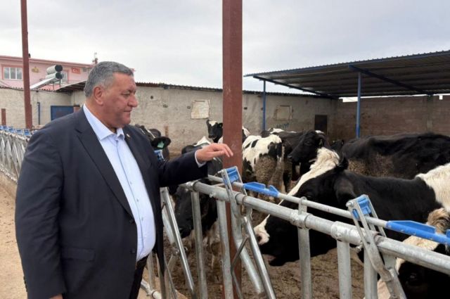 Gürer: Hayvan ithalatı arttı, et fiyatları düşmedi