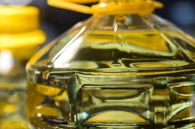 İKAR: Rusya’nın bitkisel yağ ihracatı %14 geriledi