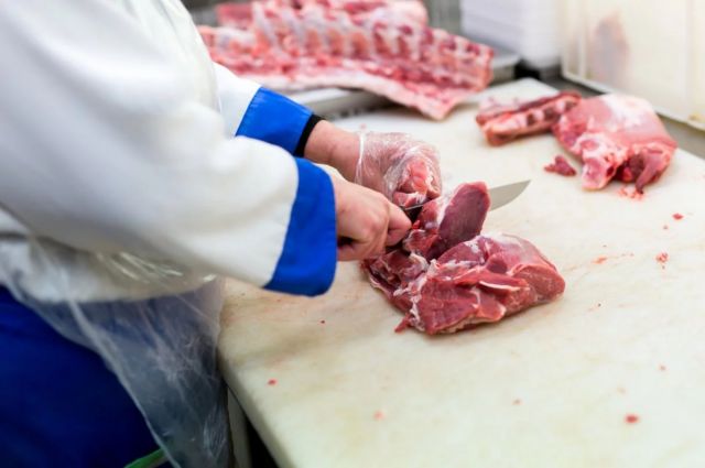 Kazakistan, Rusya’dan Hayvansal Ürün İthalatını Durdurdu