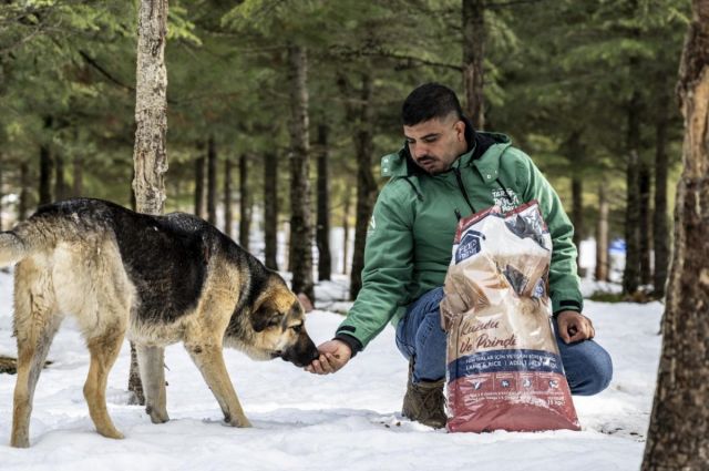 Mersin Büyükşehir, Tarsus Karboğazı’nda yılkı atlarını besledi