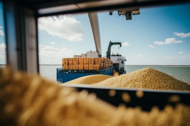 Rusya Devlet Duması tahıl ticaretinde denetimi sıkılaştırıyor