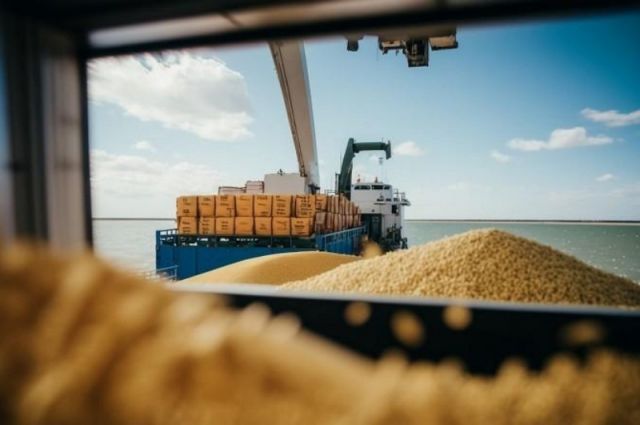 Rusya’nın Tahıl İhracatı 2025/26 Sezonunda Yüzde 16 Düştü