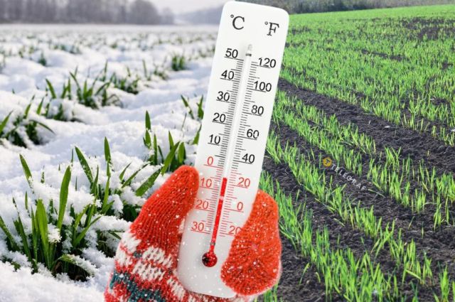 Ukrayna Meteoroloji Merkezi: Şubat Donları Tohum Ekimini Geciktirebilir