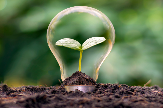 YEŞİL DEVRİM NEDİR?