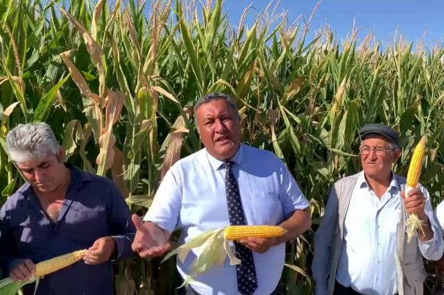 CHP’li Gürer’den TMO’nun mısır fiyatına eleştiri