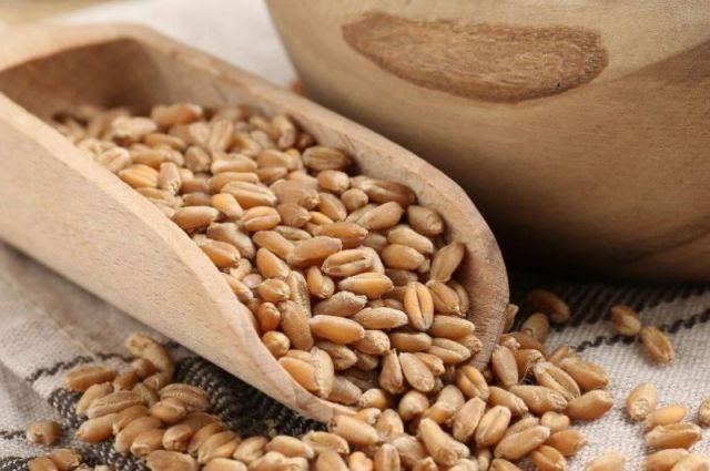 GAİB: Hububat İhracatı 552,8 Milyon Dolara Ulaştı