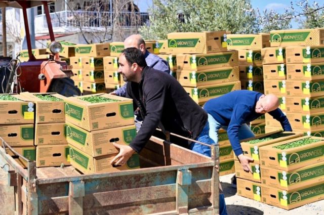 Gördes’te üreticilere 73 bin fide desteği sağlandı